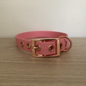 Collier biothane beta 1 couleur - Forest Pets 37