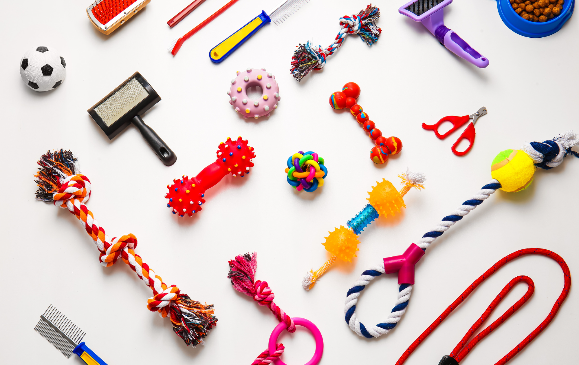 ACCESSOIRES _ FORESTPETS37