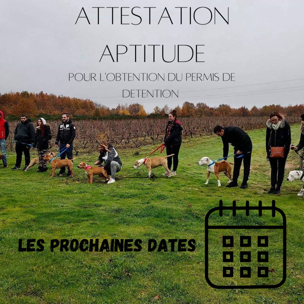 permis de detention - attestation d'aptitude forestpets37