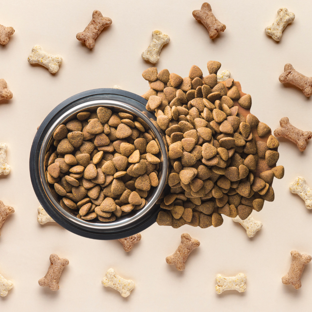 Forestpets37 - Alimentation - Friandises