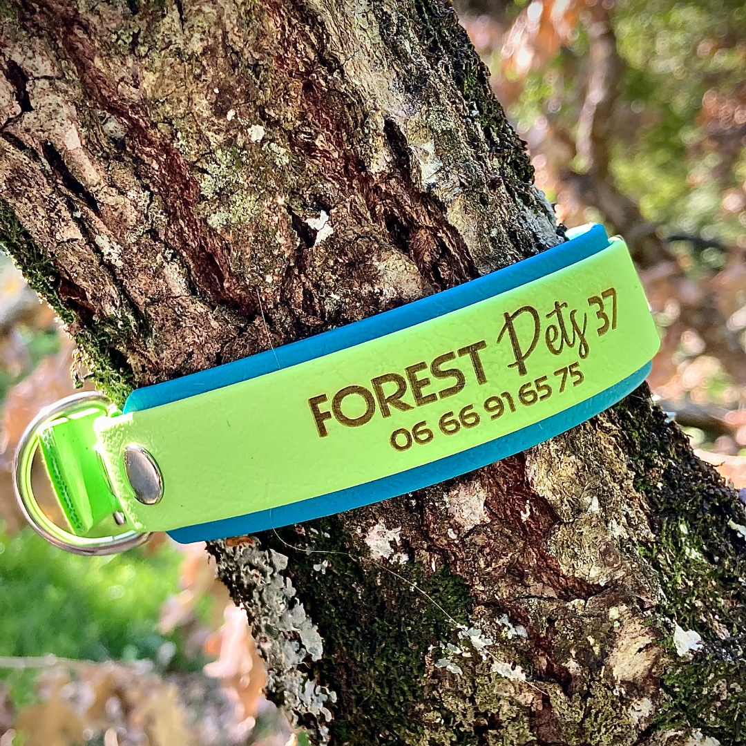 collier-et-laisses-personnalisees-forestpets37.png