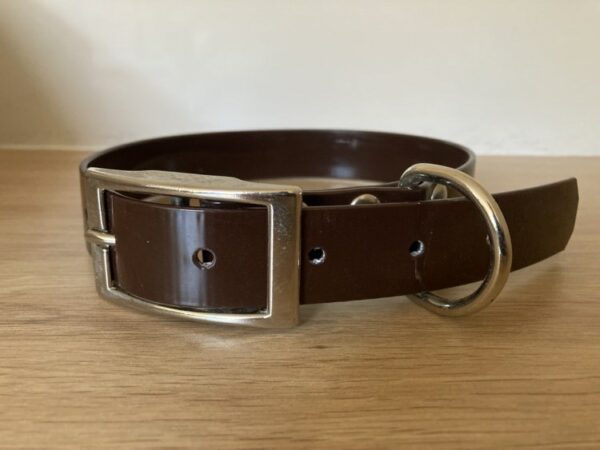 Collier biothane gold - Forest Pets 37