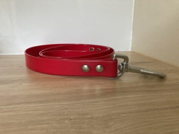 Collier biothane gold - Forest Pets 37