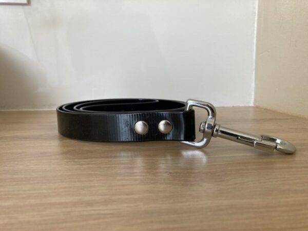Collier biothane gold - Forest Pets 37