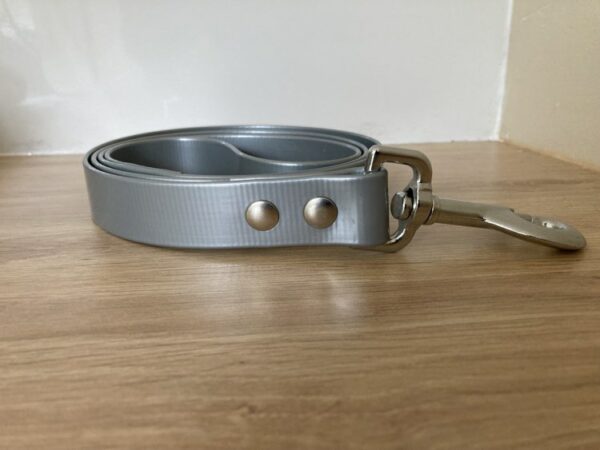 Collier biothane gold - Forest Pets 37