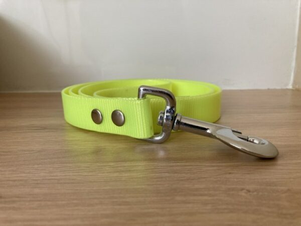Collier biothane gold - Forest Pets 37
