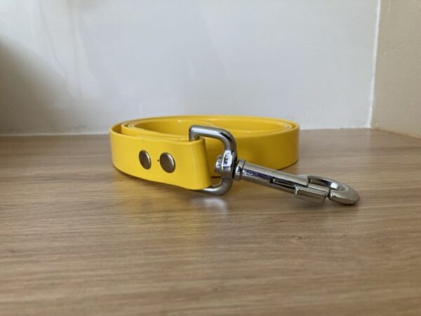 Collier biothane gold - Forest Pets 37