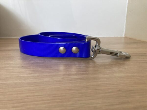 Collier biothane gold - Forest Pets 37