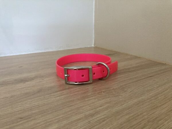 Collier Biothane Gold 19 mm - Taille S - Forest Pets 37