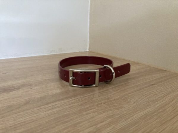 Collier Biothane Gold 19 mm - Taille S - Forest Pets 37