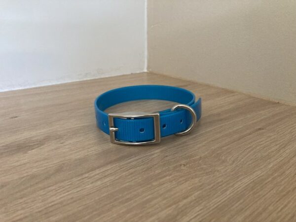 Collier Biothane Gold 19 mm - Taille S - Forest Pets 37