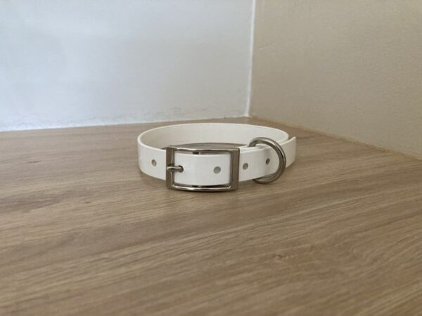 Collier Biothane Gold 19 mm - Taille S - Forest Pets 37