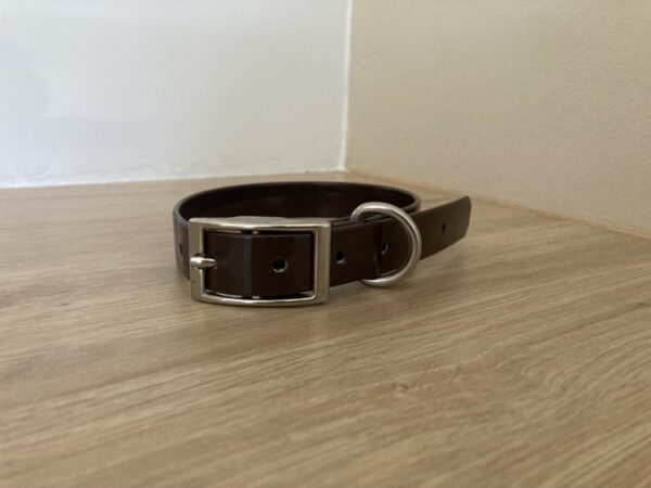 Collier Biothane Gold 19 mm - Taille S - Forest Pets 37