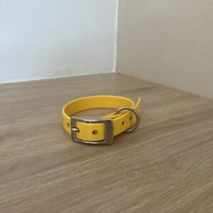Collier biothane Gold 16mm XS - Forest Pets 37