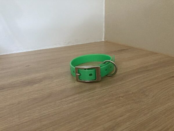 Collier biothane Gold 16mm XS - Forest Pets 37