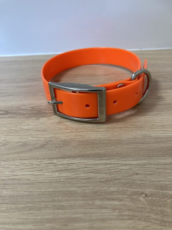 Collier Gold - Forest Pets 37