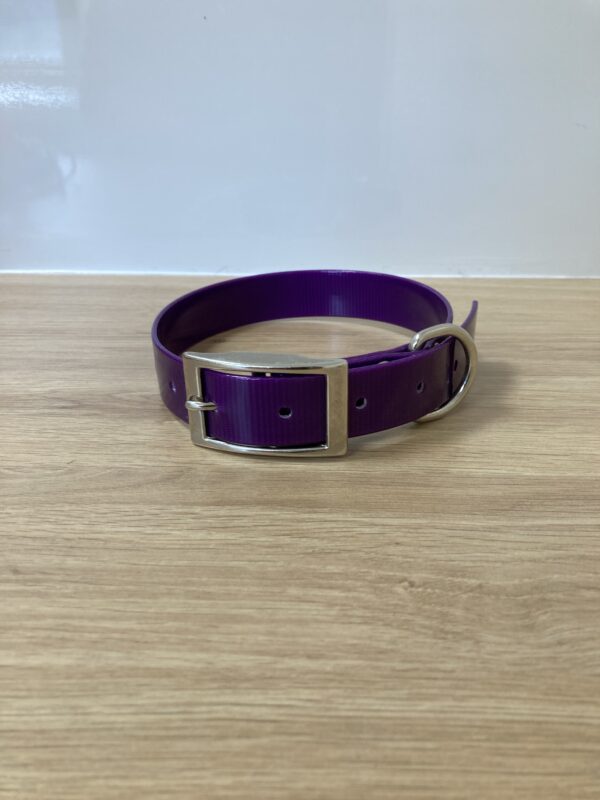 Collier Gold - Forest Pets 37