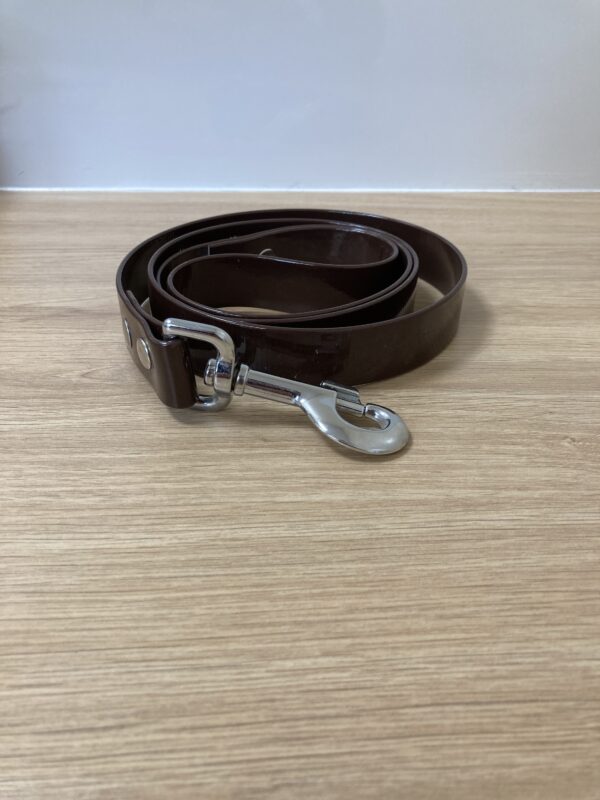 LAISSE BIOTHANE GOLD marron foncé FOREST PETS 37