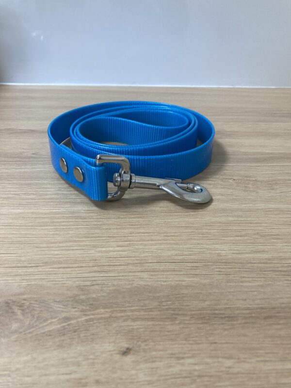 LAISSE BIOTHANE GOLD BLEU FOREST PETS 37