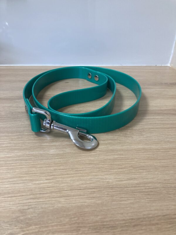 LAISSE BIOTHANE GOLD TURQUOISE FOREST PETS 37