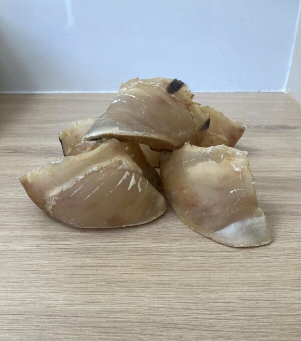 sabot de veau forest pets 37