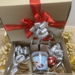 coffret noël - Forest Pets 37