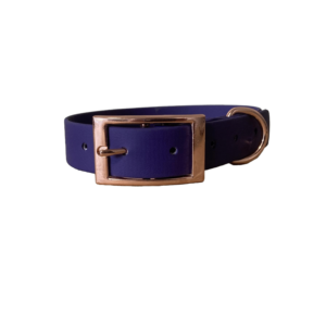 Collier M 25 mm - violet - finition gold