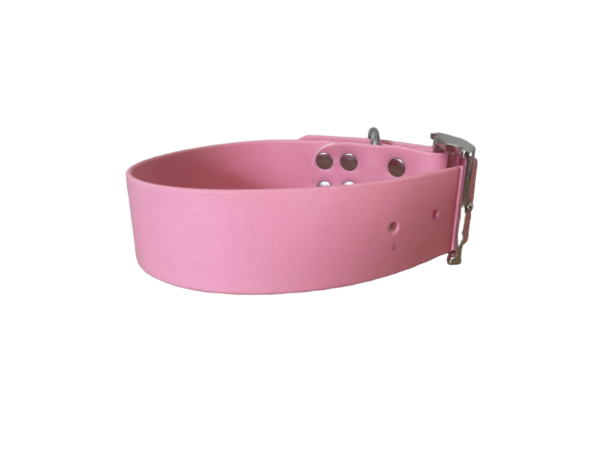 Collier biothane Rose pastel Forest Pets 37