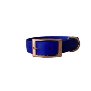 Collier M 25 mm - bleu roi - finition gold