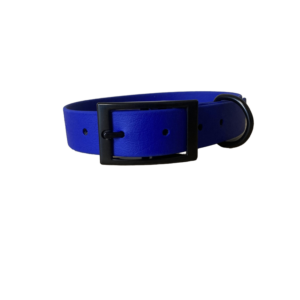 Collier 25 mm - Biothane beta - bleu roi - finition noir