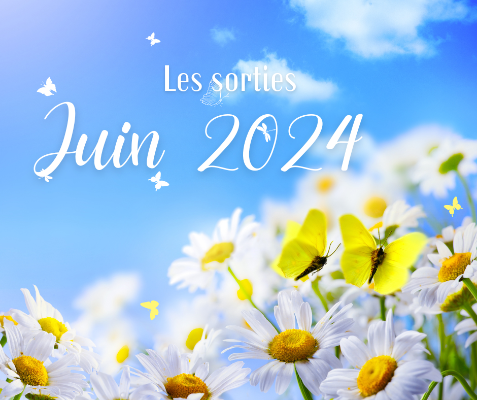 Les sorties Juin 2024 - Forest Pets 37