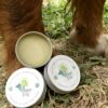 baume - chien - Forest Pets 37