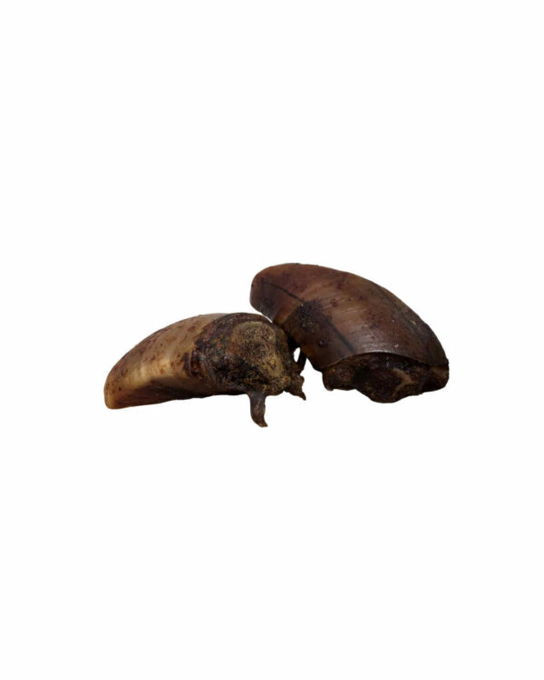 SABOT NON EVIDER - FRIANDISES NATURELLE - FOREST PETS 37