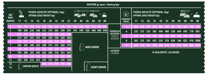 RATION MEDIUM JUNIOR