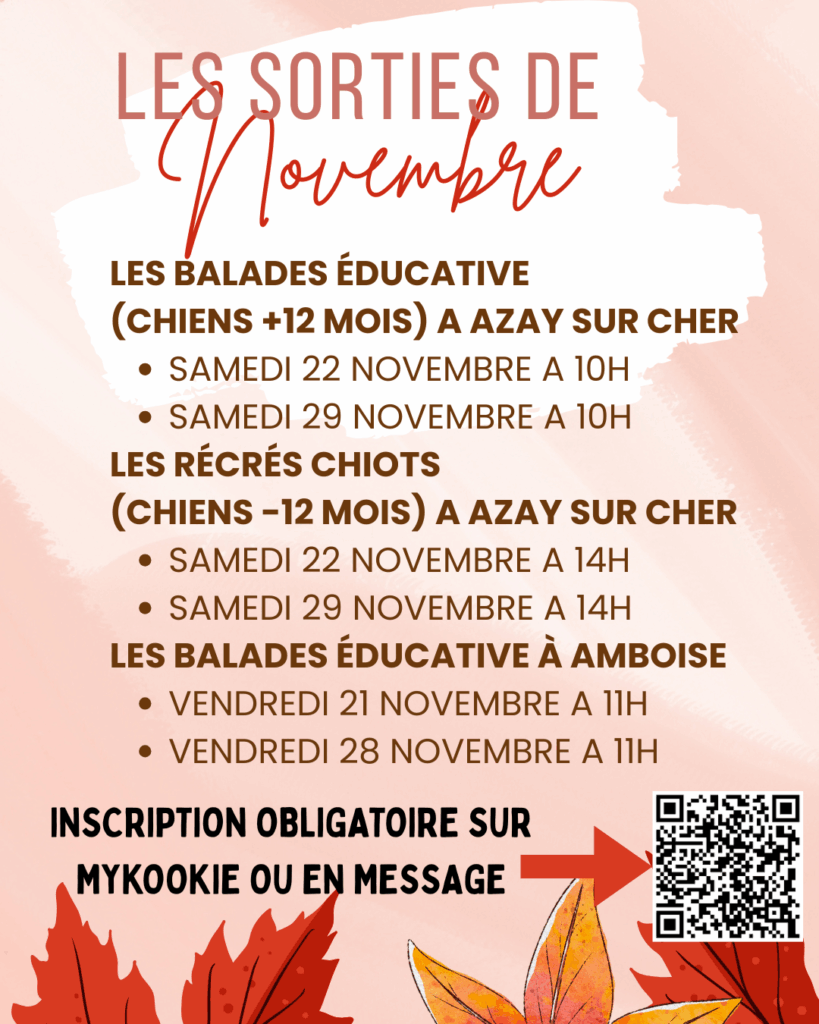 forest pets 37 - les sorties de novembre - Azay sur cher