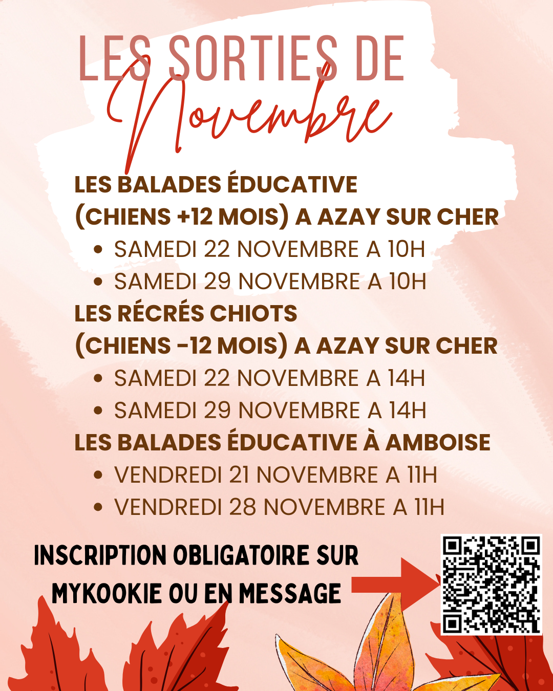 forest pets 37 - les sorties de novembre - Azay sur cher